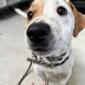 Photo of Waylon