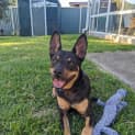 Photo of Stormi 2 Year Old (Trial)