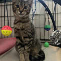 Photo of Bepo (Was Colonel Custard)