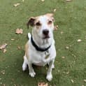 Photo of Polly