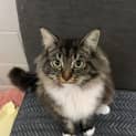 Photo of Coco