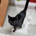 Photo of Darkness