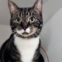 Photo of Buster