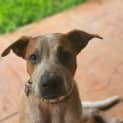 Photo of Benny