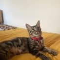Photo of Sally