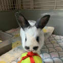 Photo of Franky