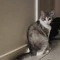 Photo of Lilith
