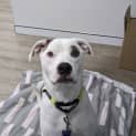 Photo of Missie 