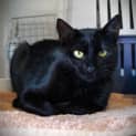 Photo of Chatter Ow Luna
