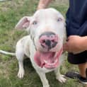 Photo of Snowy