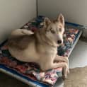 Photo of Lucy