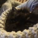 Photo of Jasper