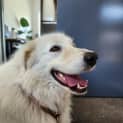 Photo of Casperino