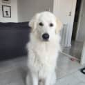 Photo of Casperino