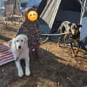 Photo of Casperino