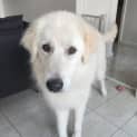 Photo of Casperino