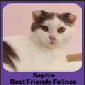 Photo of Sophie