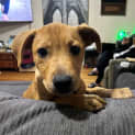 Photo of Noble