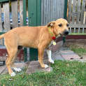 Photo of Faraday