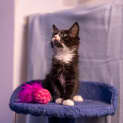 Photo of Boots