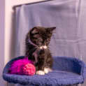 Photo of Boots