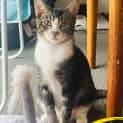 Photo of Twix