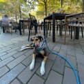 Photo of Maggie