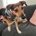 Photo of Maggie