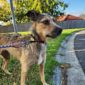 Photo of Sakari