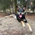Photo of Zoe