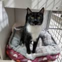 Photo of Seraphina