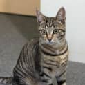 Photo of Maggie