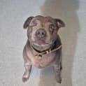 Photo of Stormy
