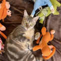 Photo of Valentino