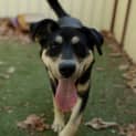 Photo of Coco