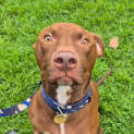 Photo of Walter