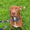 Photo of Walter