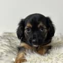 Photo of Fondue