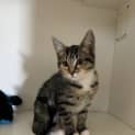Photo of Prada