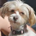 Photo of Evie