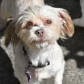 Photo of Evie