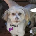 Photo of Evie