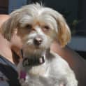 Photo of Evie