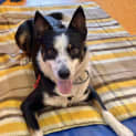 Photo of Marlo