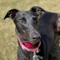Photo of Little Miss