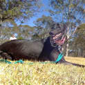 Photo of Little Miss