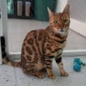 Photo of Phoenix
