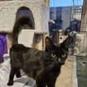 Photo of Nyx