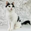 Photo of Ivy Located In Preston