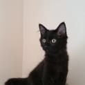 Photo of Velma
